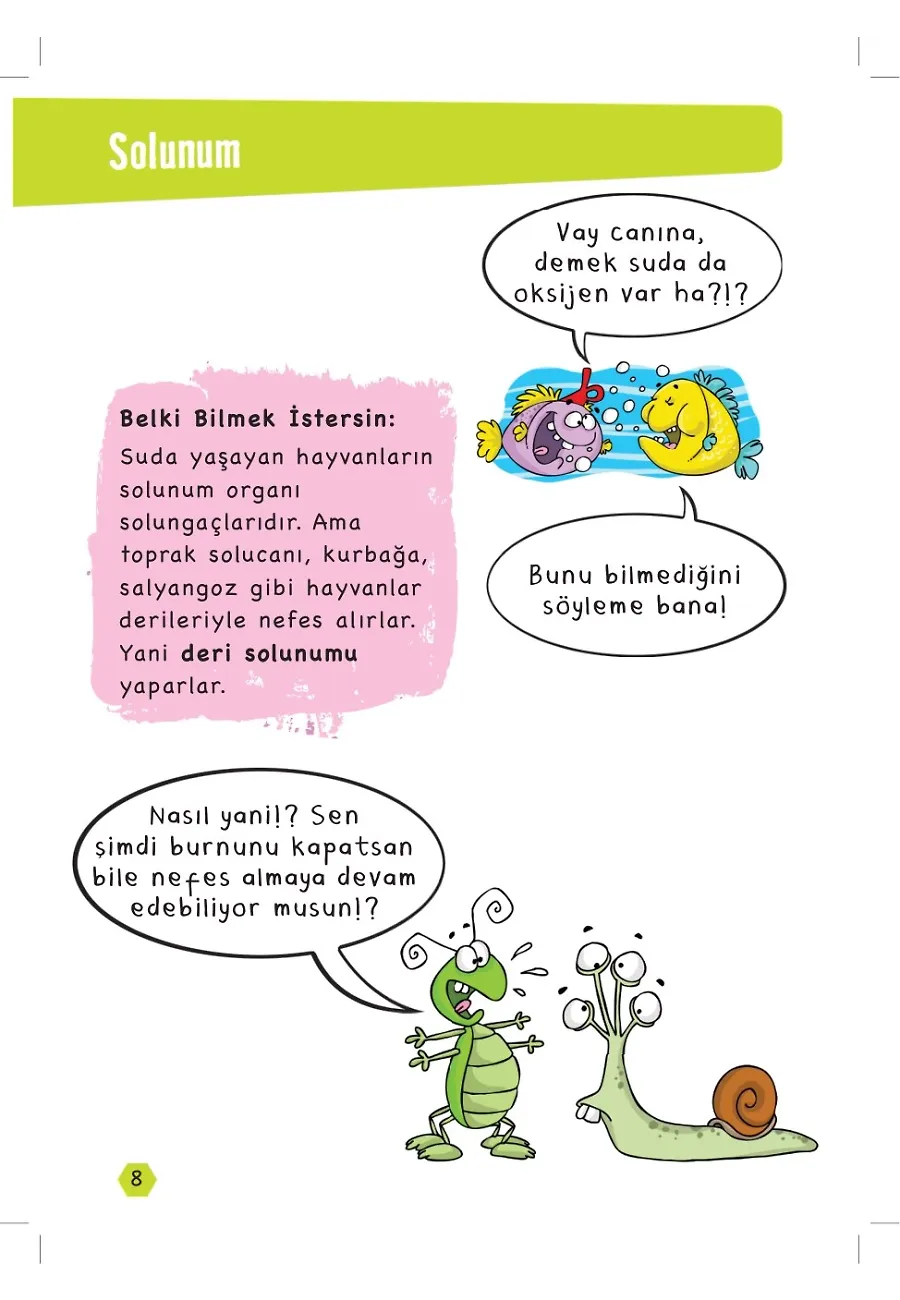Ses Ve Işık Bir Gün Yarışmaya Karar Verseler - Popüler Fen – Sayfa 4