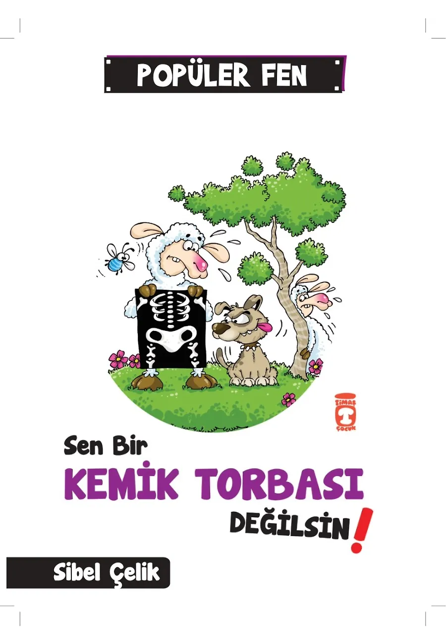 Sen Bir Kemik Torbası Değilsin! - Popüler Fen – Sayfa 1