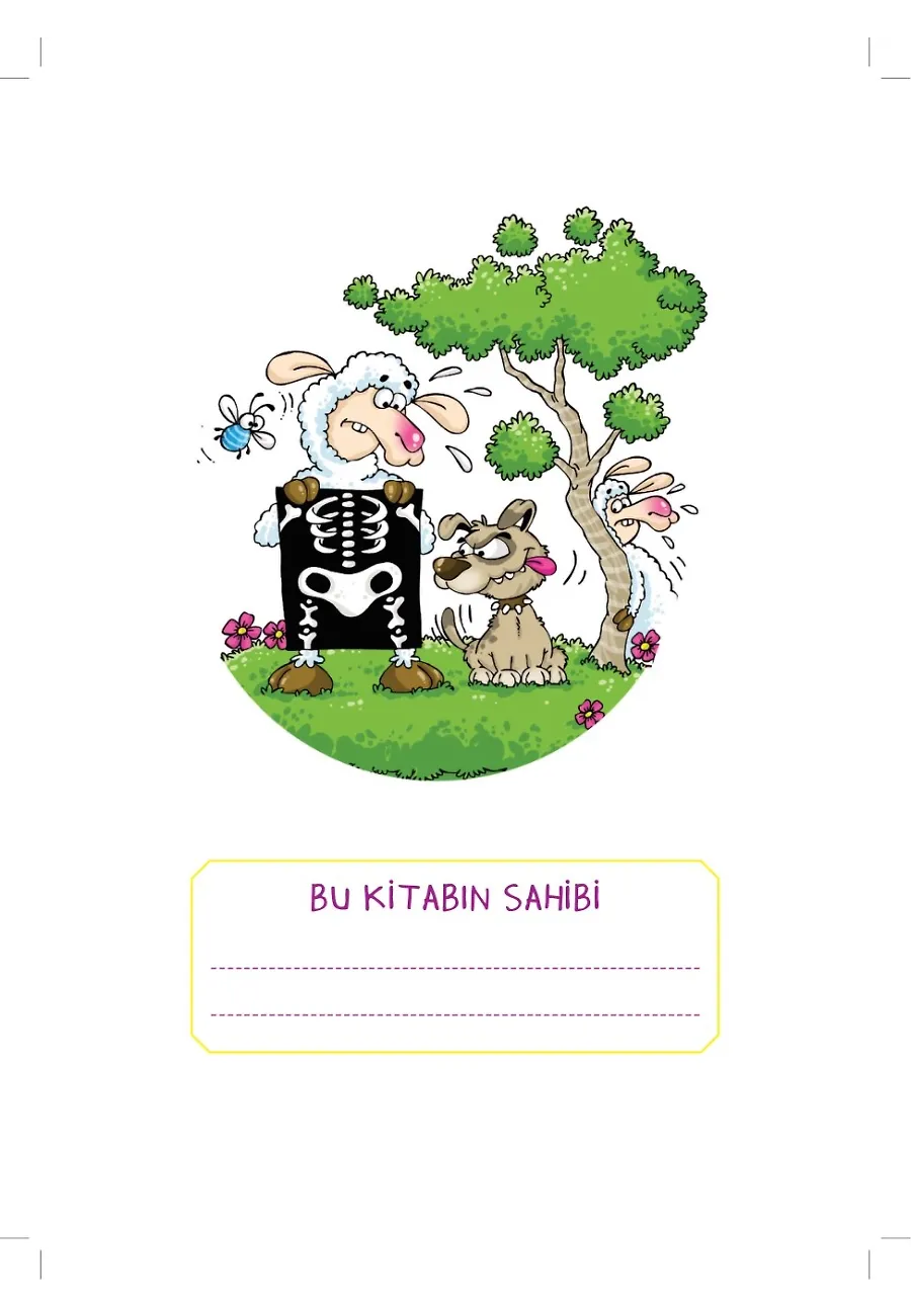 Sen Bir Kemik Torbası Değilsin! - Popüler Fen – Sayfa 2