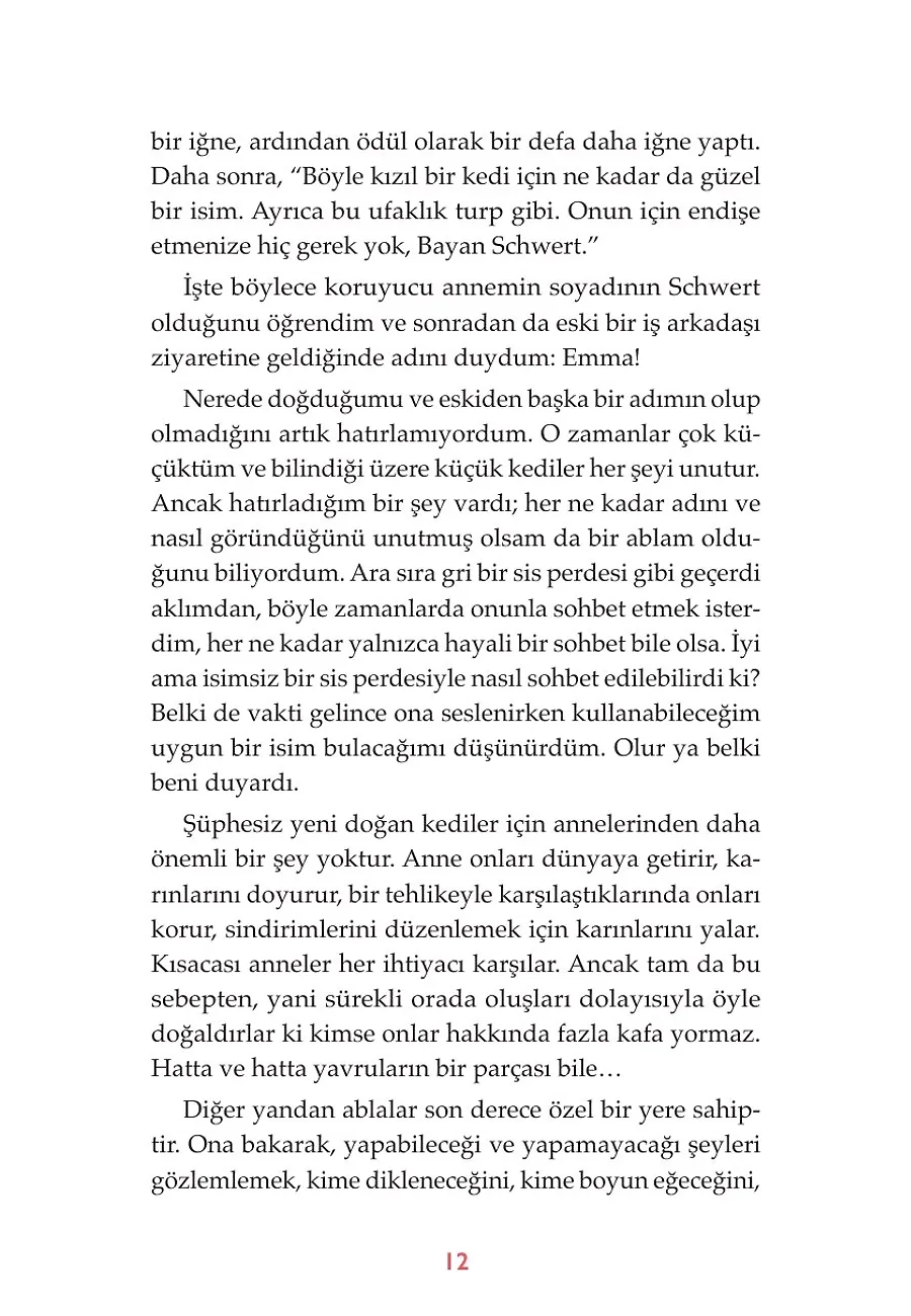 Selam, Ben Kitty – Sayfa 2
