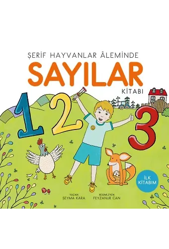 Sayılar