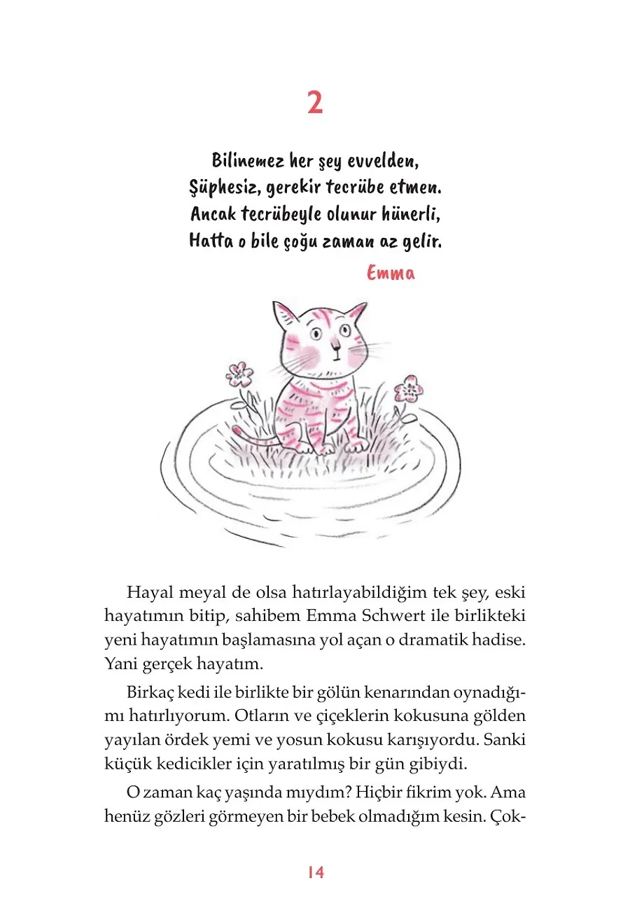Selam, Ben Kitty – Sayfa 4