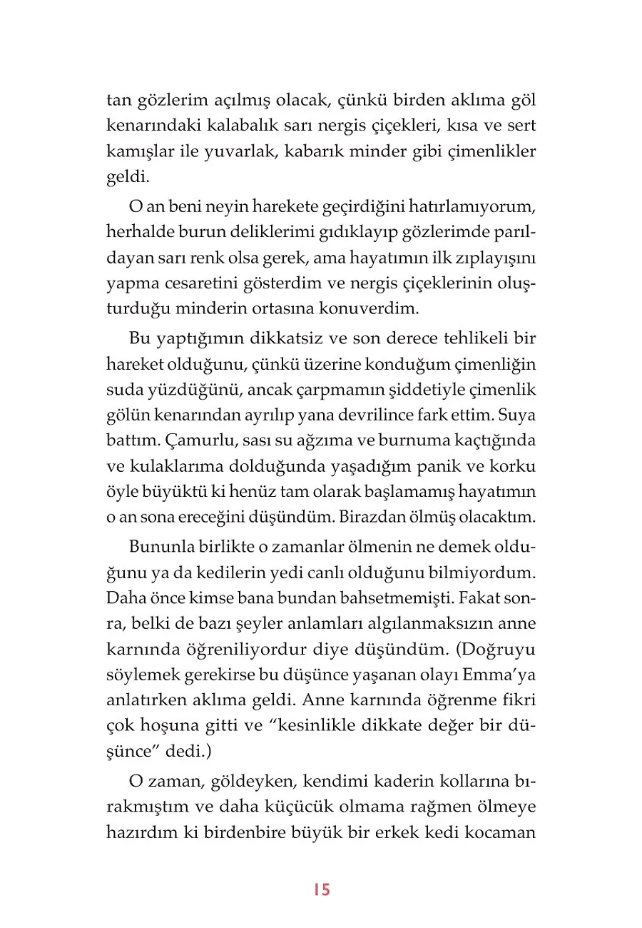 Selam, Ben Kitty – Sayfa 5