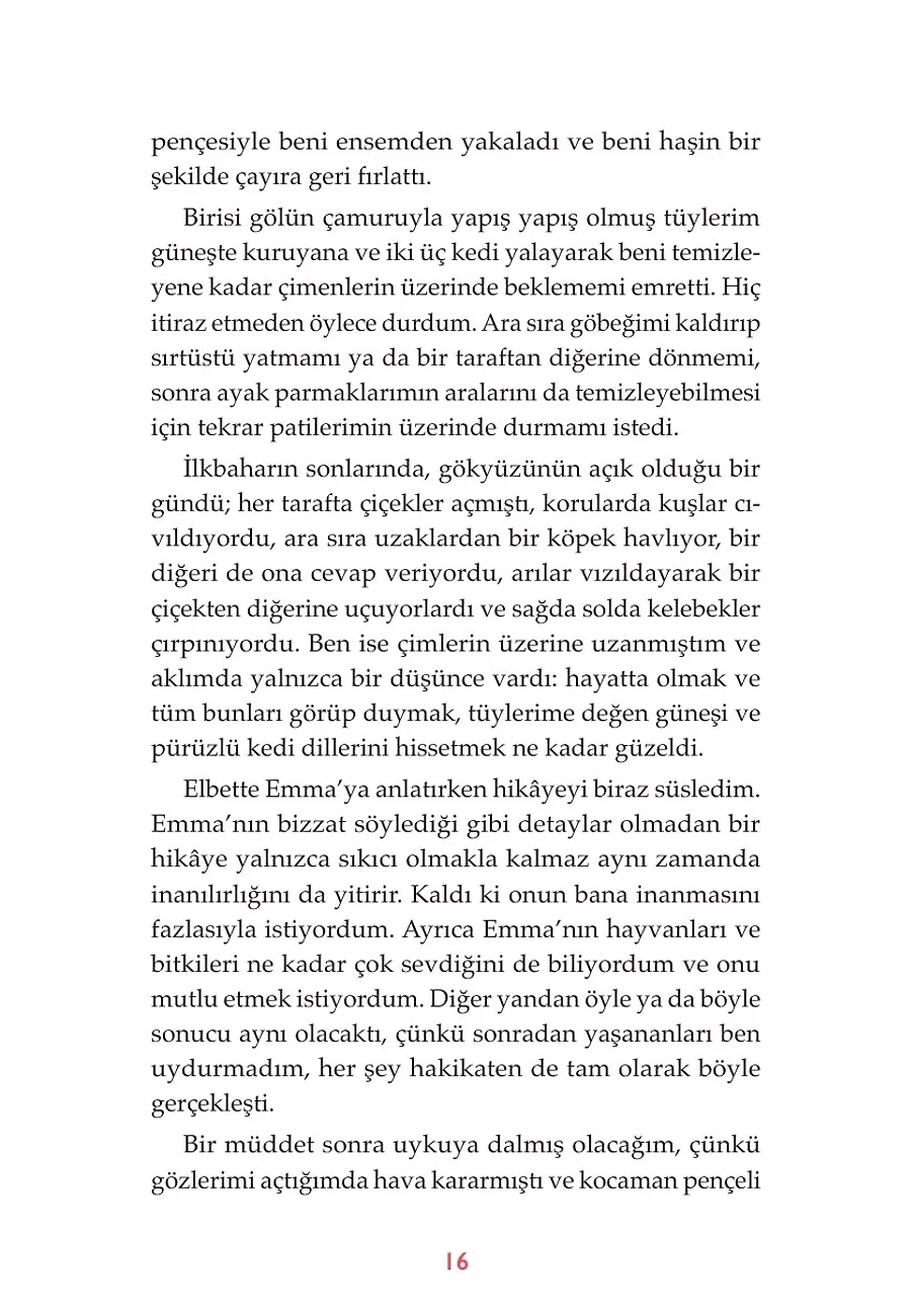 Selam, Ben Kitty – Sayfa 6
