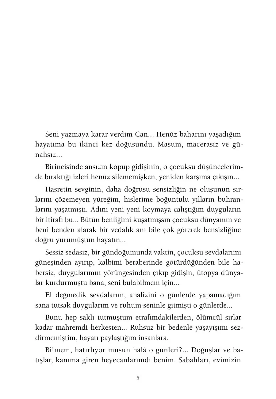 Sahibini Arayan Mektuplar – Sayfa 2