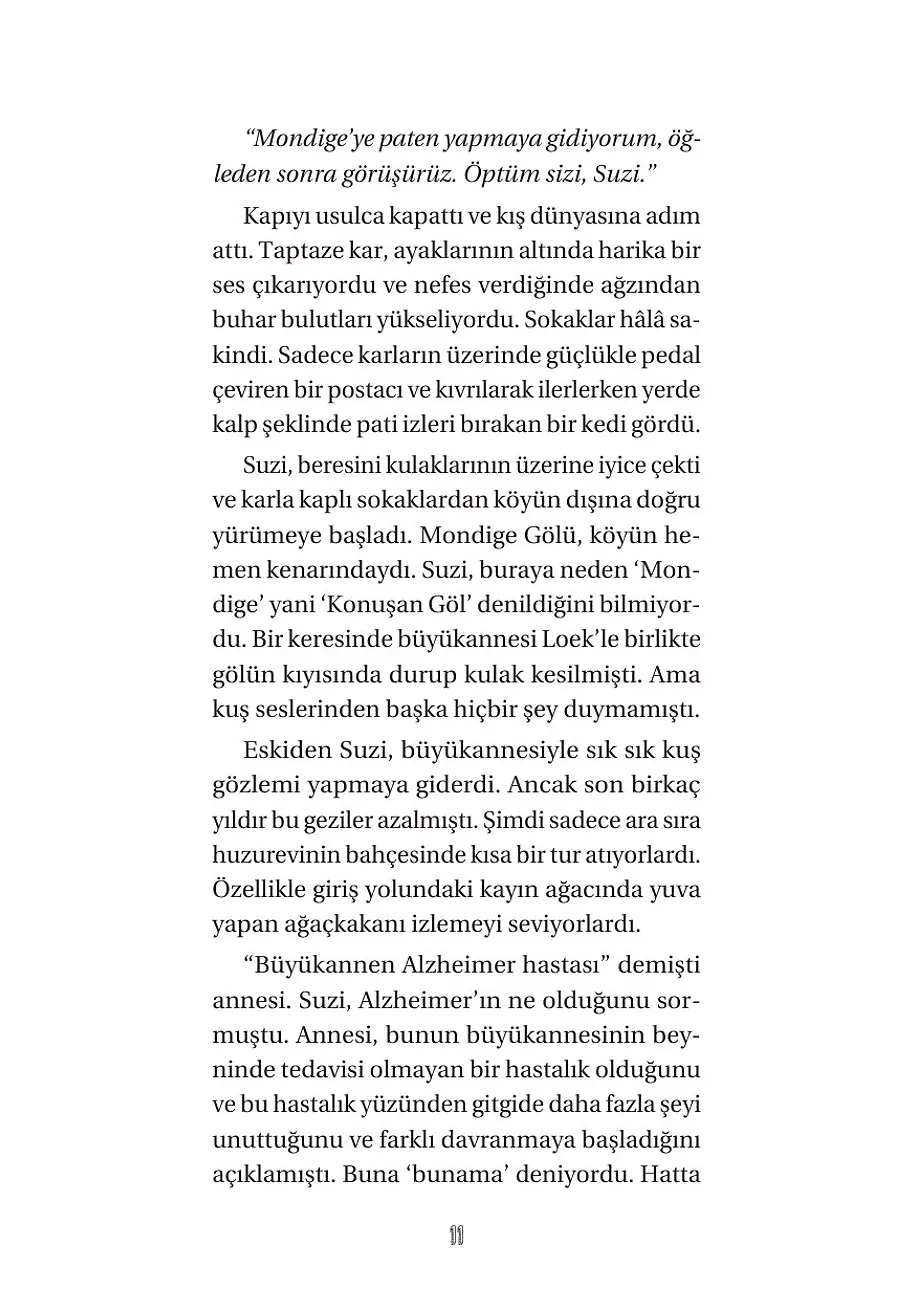 Ronnie - Göldeki Fısıltı – Sayfa 3