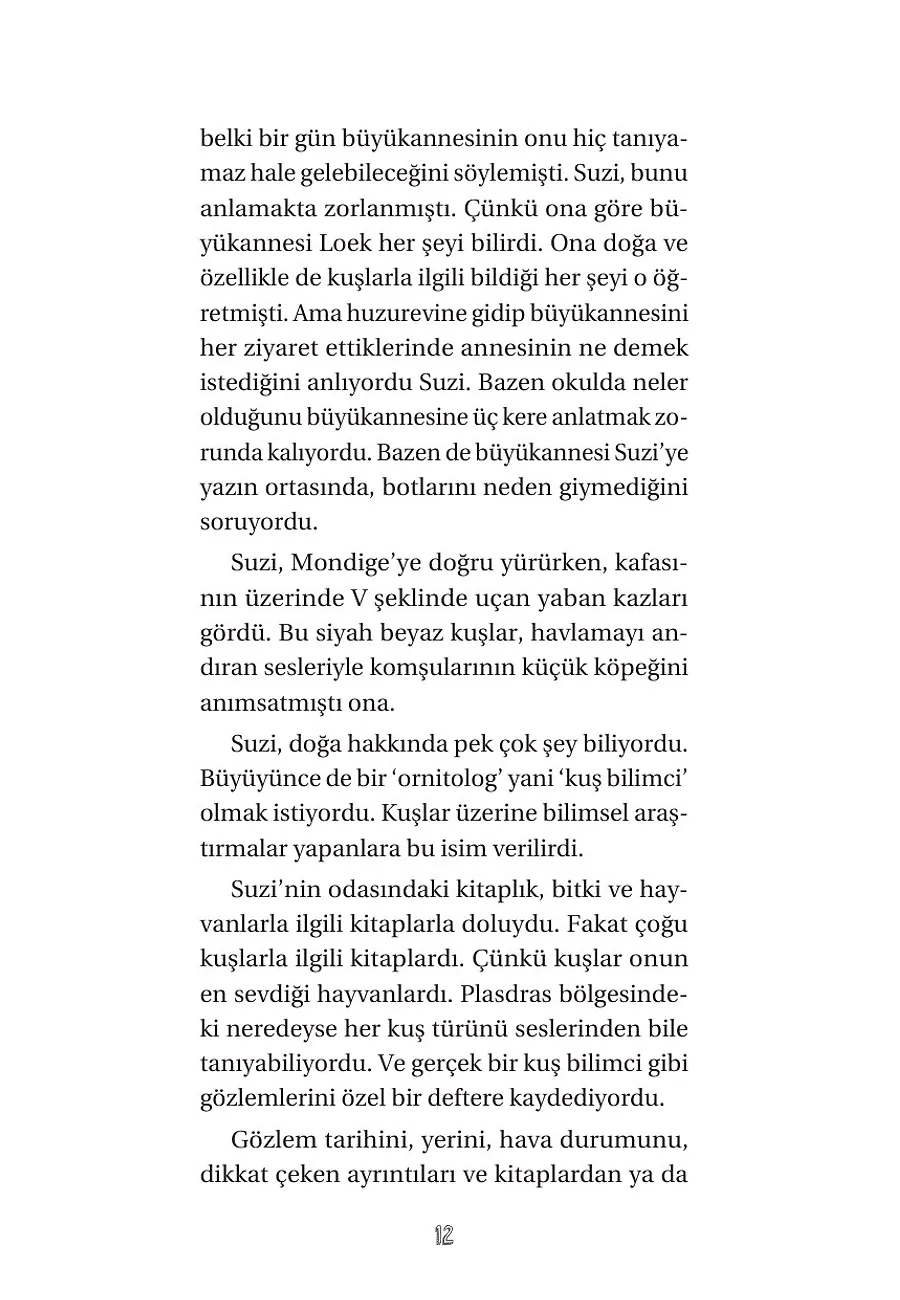 Ronnie - Göldeki Fısıltı – Sayfa 4