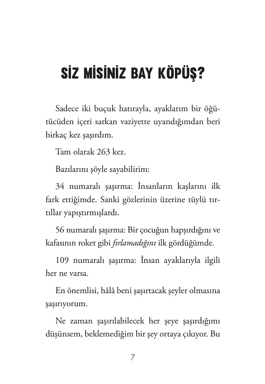 Robit 3 - Gıcırtılı Bir Macera – Sayfa 1
