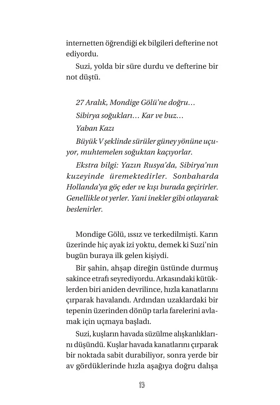 Ronnie - Göldeki Fısıltı – Sayfa 5
