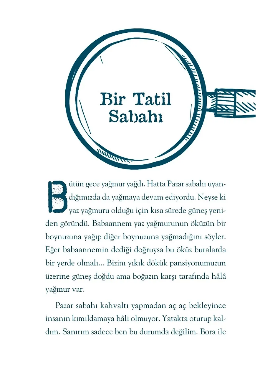 Profesör'ün Sırrının Peşinde - İstanbul Dedektifleri – Sayfa 3
