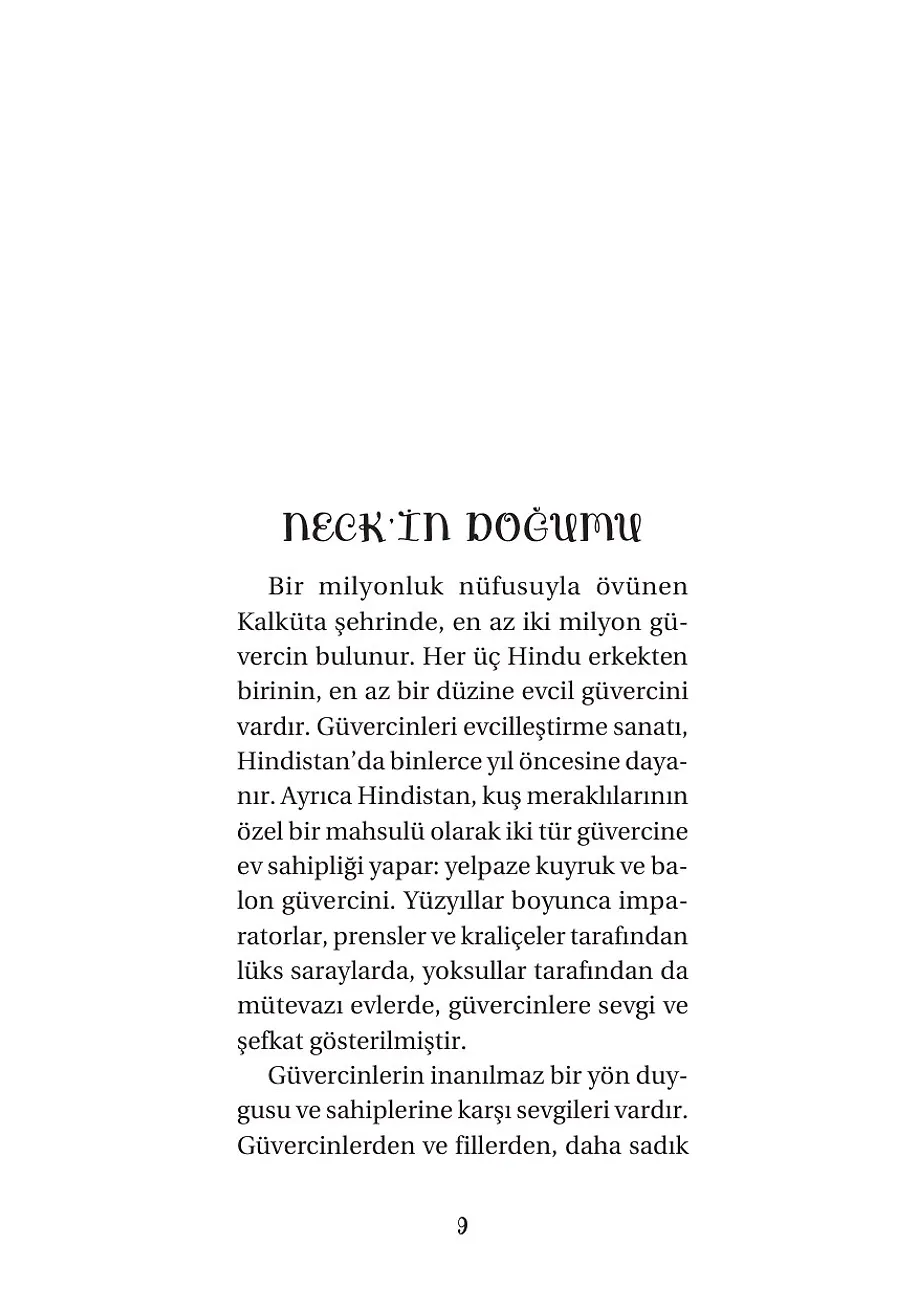 Posta Güvercinim Neck – Sayfa 1