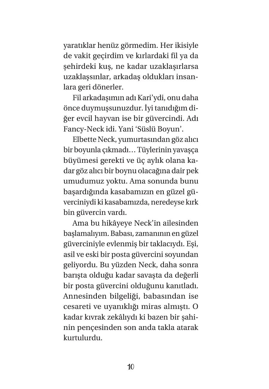 Posta Güvercinim Neck – Sayfa 2