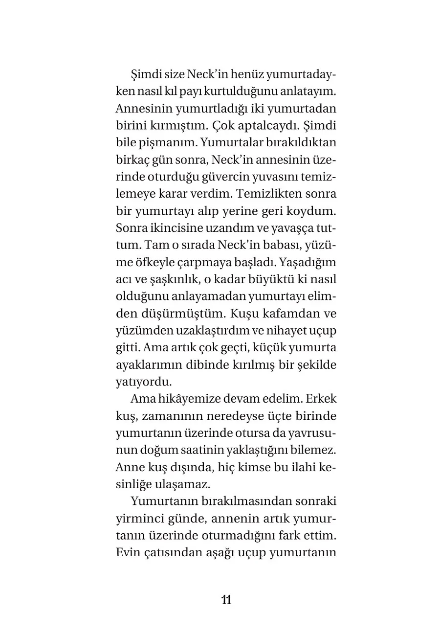 Posta Güvercinim Neck – Sayfa 3
