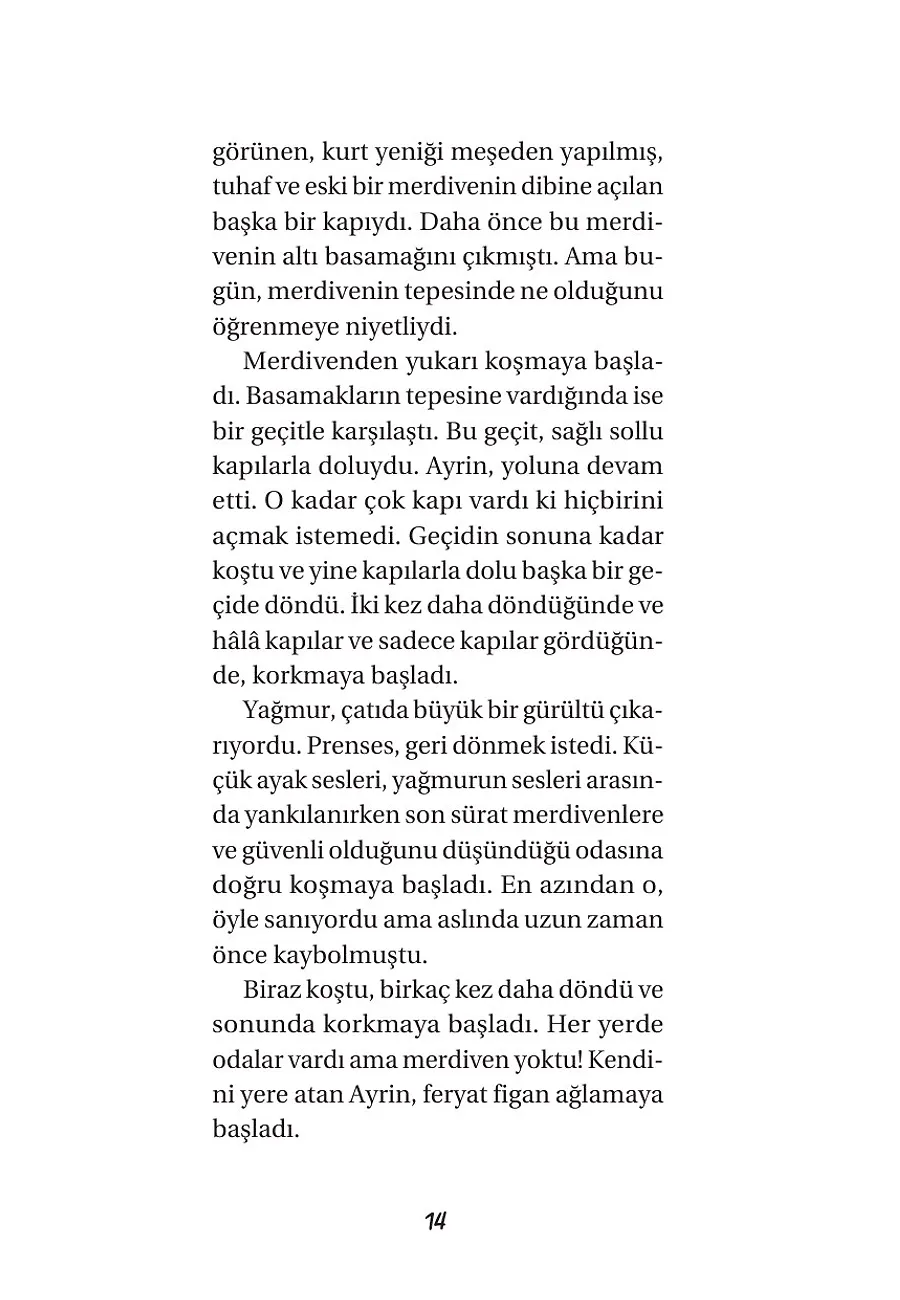 Prenses Ve Goblinler – Sayfa 4