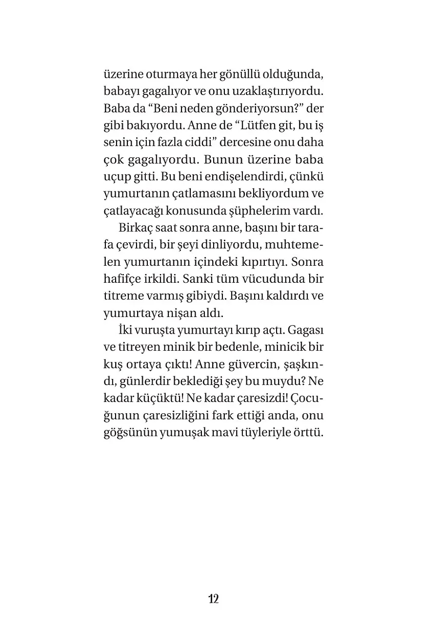 Posta Güvercinim Neck – Sayfa 4