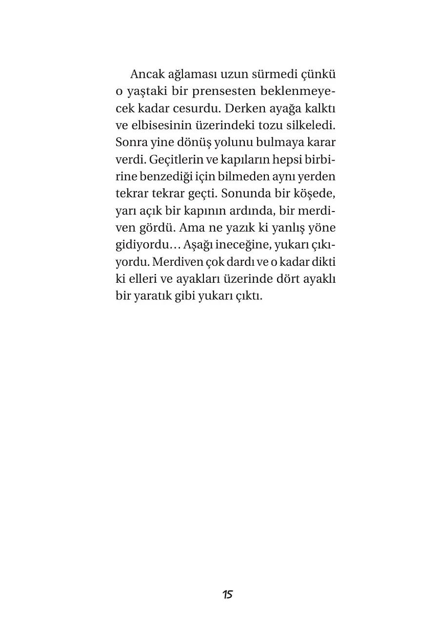 Prenses Ve Goblinler – Sayfa 5