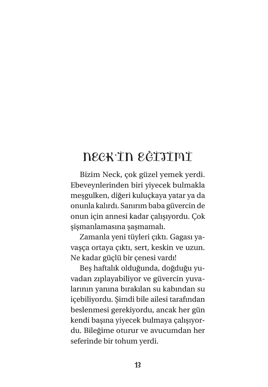 Posta Güvercinim Neck – Sayfa 5