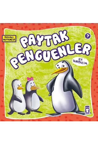Paytak Penguenler İle Tanışalım - Sevimli Hayvanlar