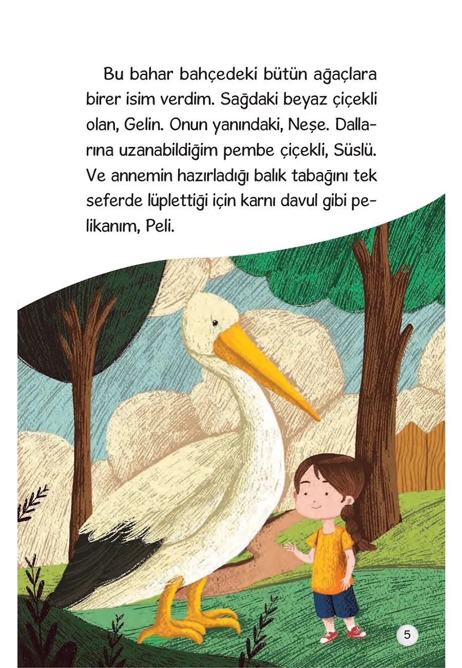 Pelikanım Peli - Yeniden Parlayan Güneş – Sayfa 1