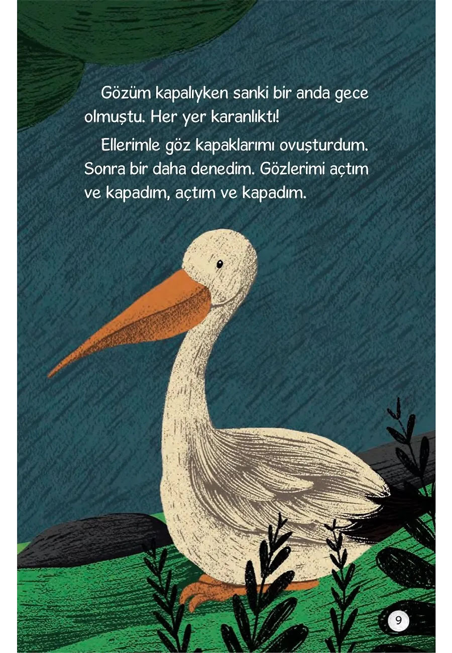 Pelikanım Peli - Yeniden Parlayan Güneş – Sayfa 5