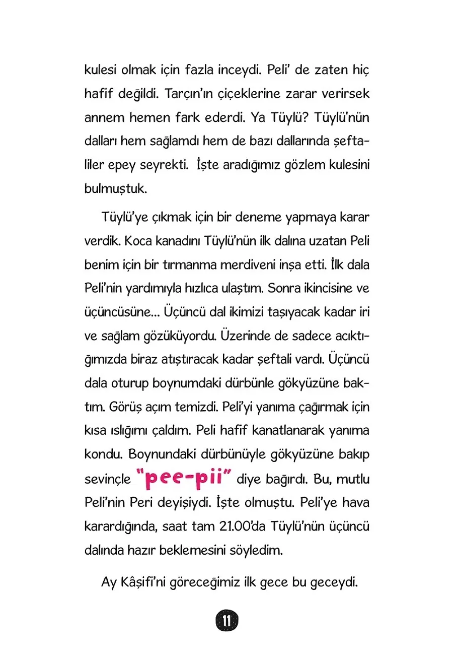 Pelikanım Peli - Ay Kaşifi – Sayfa 6