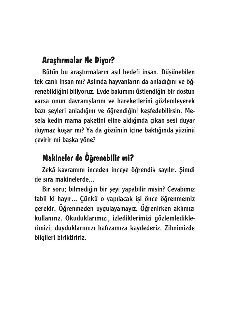 Parlak Yapay Zeka Rehberi – Sayfa 4