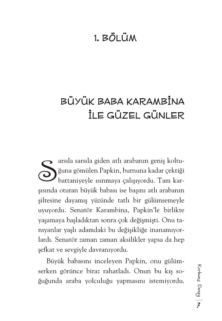 Papkin Korkunç Deney - Özgür Romanlar – Sayfa 2