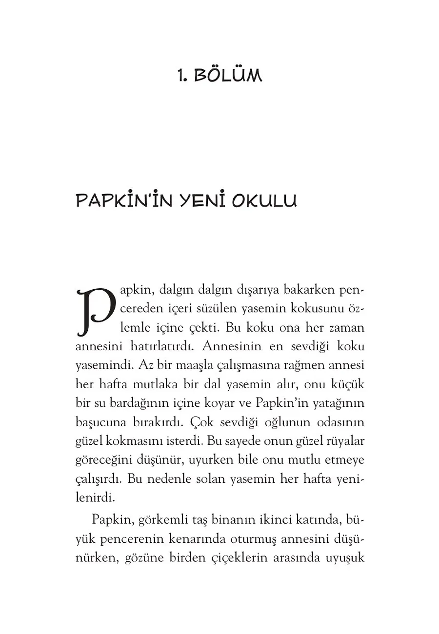 Papkin Korsanlardan Kaçış - Özgür Romanlar – Sayfa 2