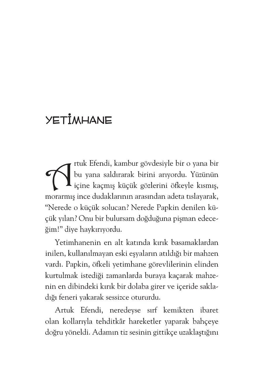 Papkin Gizemli Şato - Özgür Romanlar – Sayfa 2