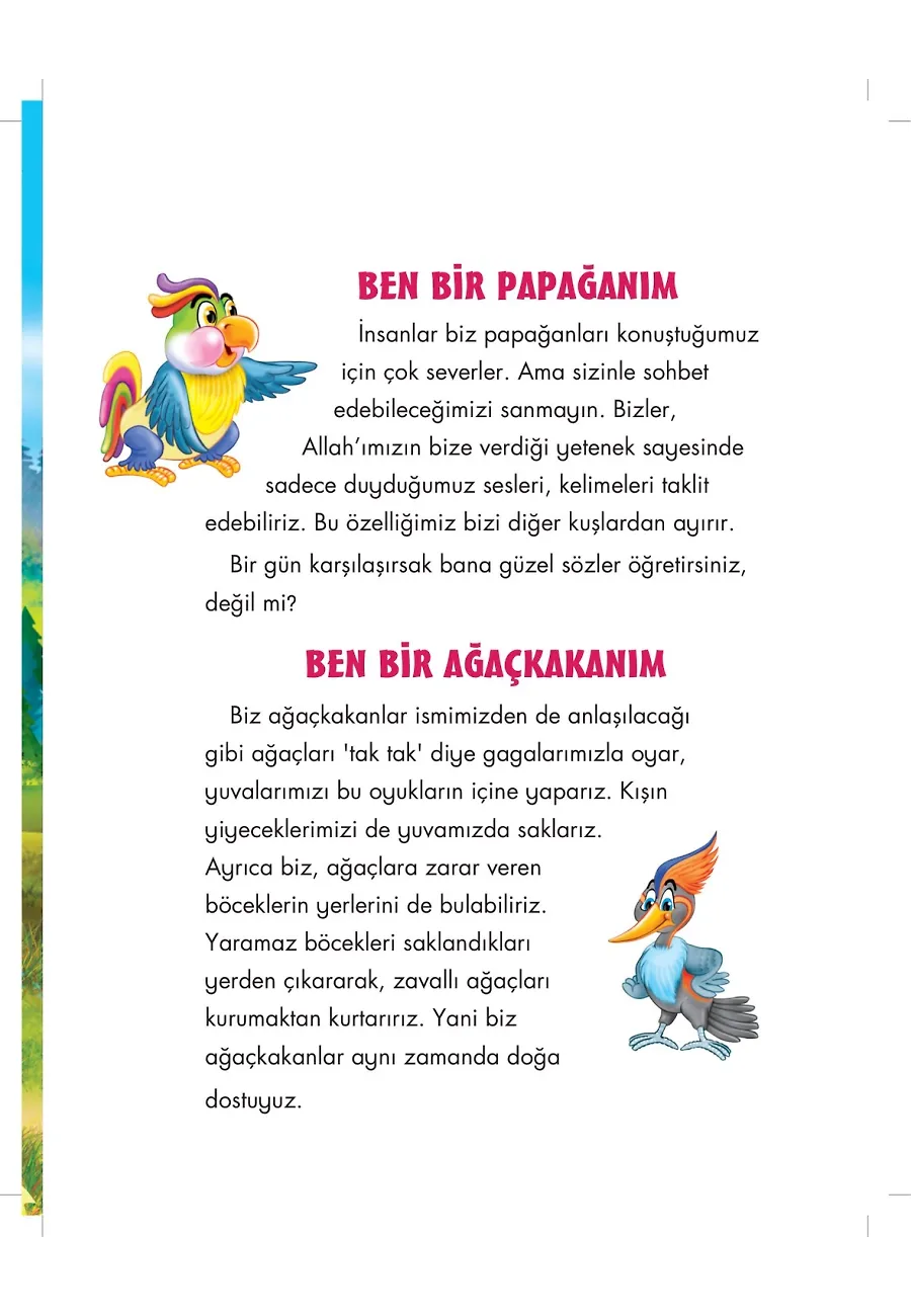 Papağan Pappi Allah'ın Şekür İsmini Öğreniyor - Allah'ın İsimlerini Öğreniyorum 2 – Sayfa 2