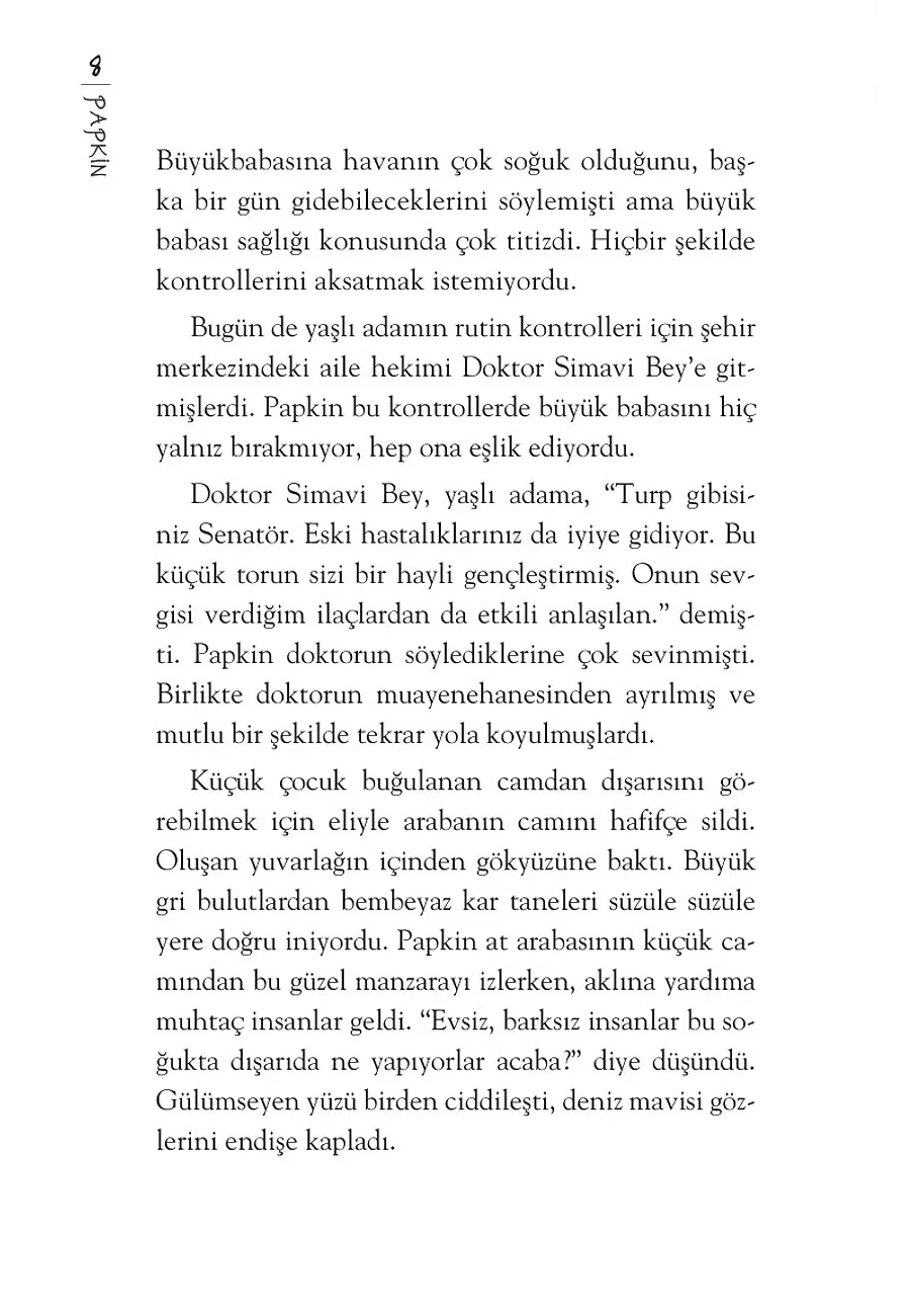 Papkin Korkunç Deney - Özgür Romanlar – Sayfa 3