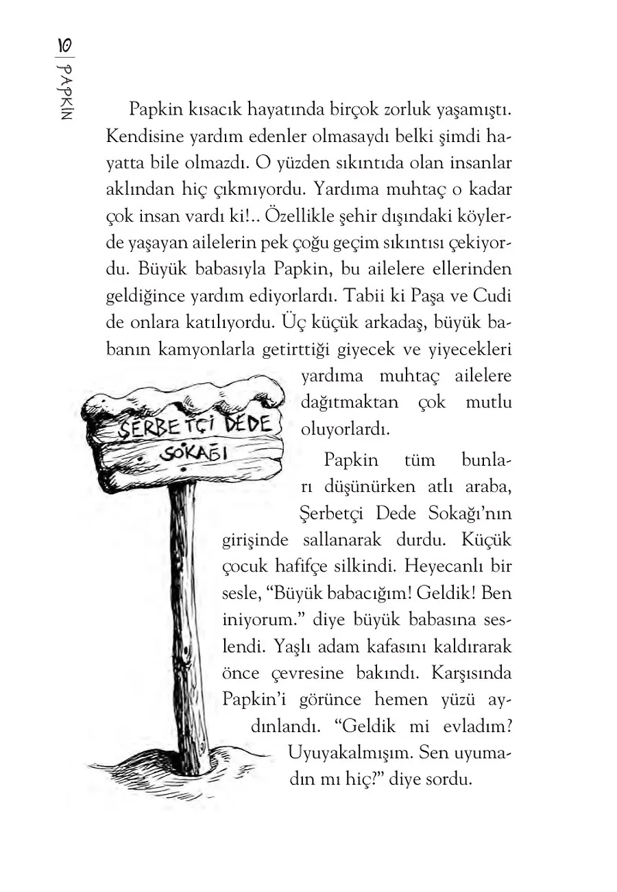 Papkin Korkunç Deney - Özgür Romanlar – Sayfa 5