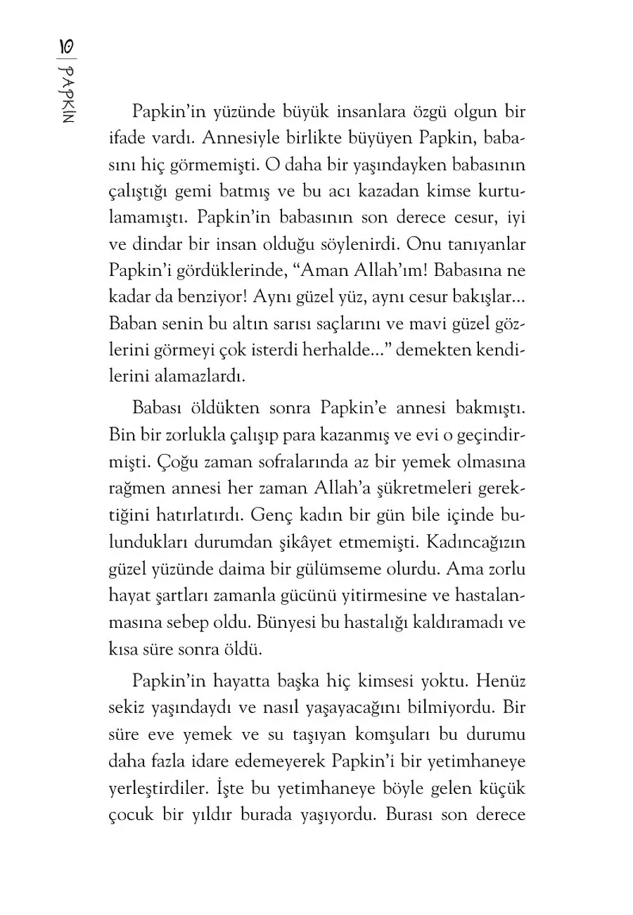 Papkin Gizemli Şato - Özgür Romanlar – Sayfa 5