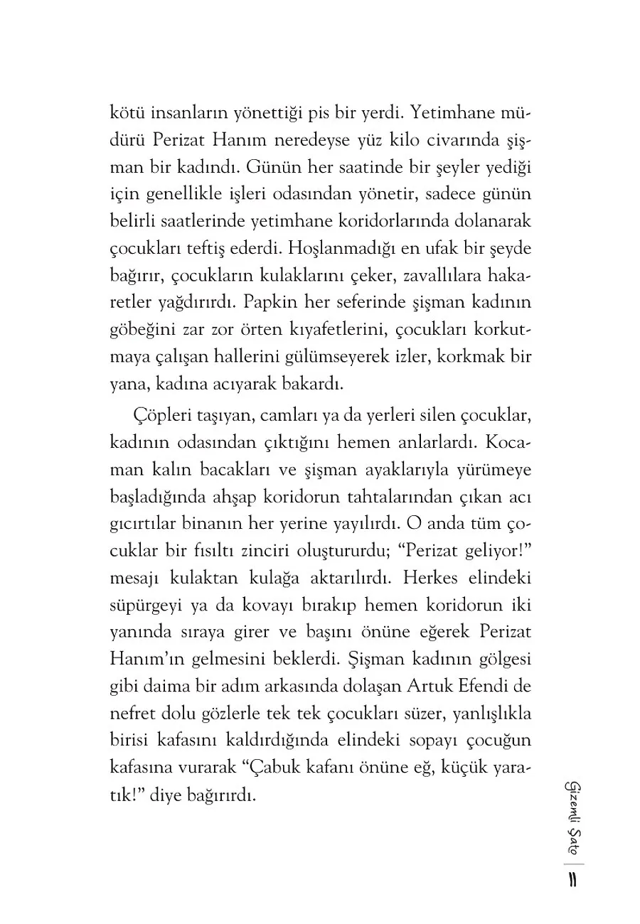 Papkin Gizemli Şato - Özgür Romanlar – Sayfa 6