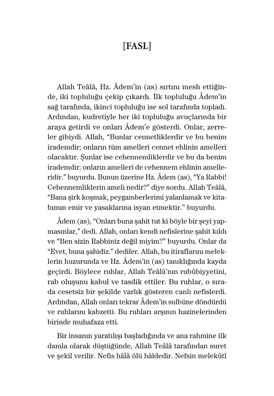 Ölüm Ve Ötesi – Sayfa 4