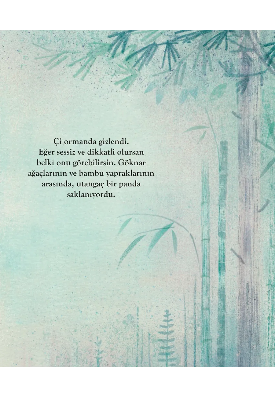Ormandaki Şarkı – Sayfa 1