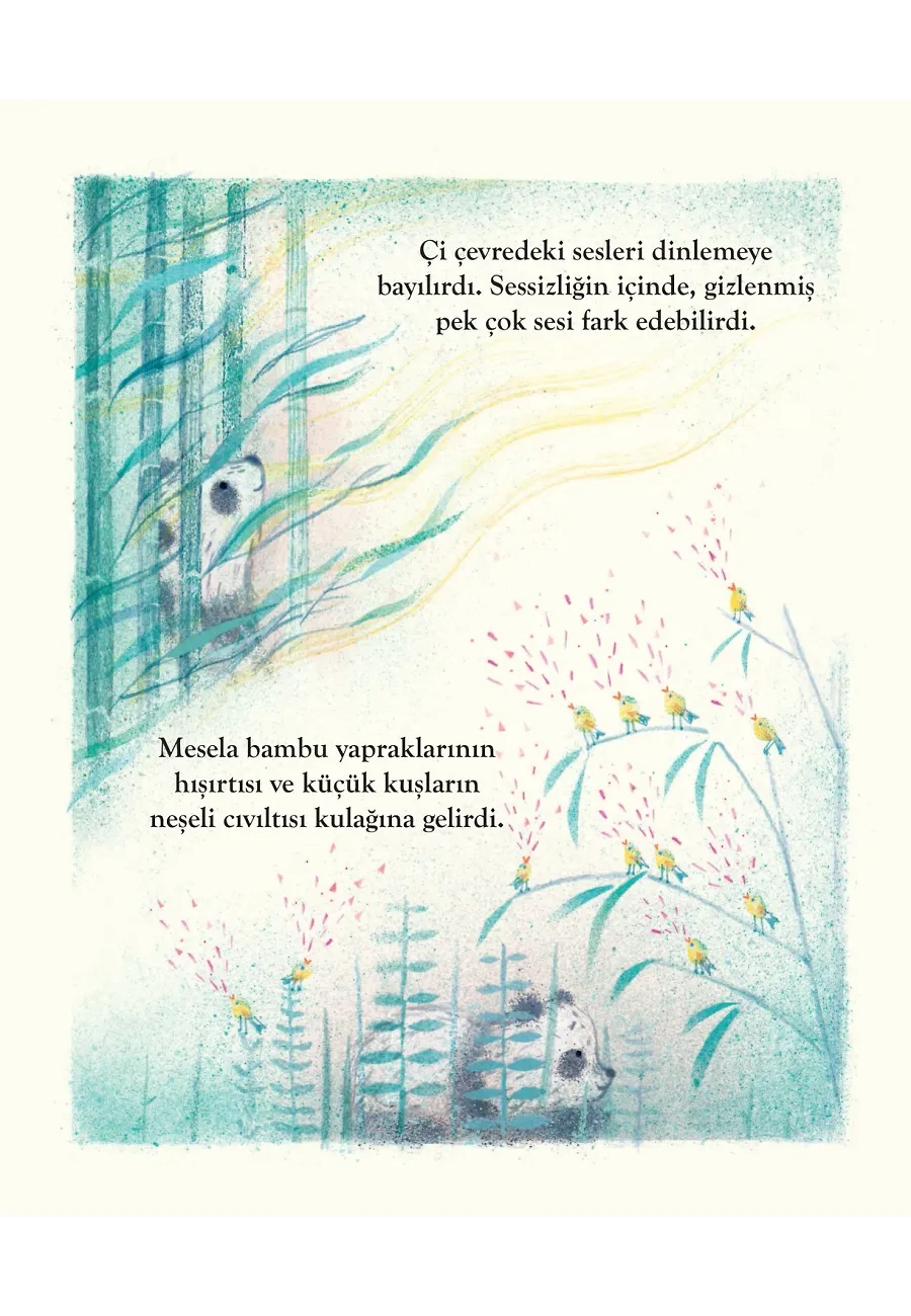 Ormandaki Şarkı – Sayfa 3