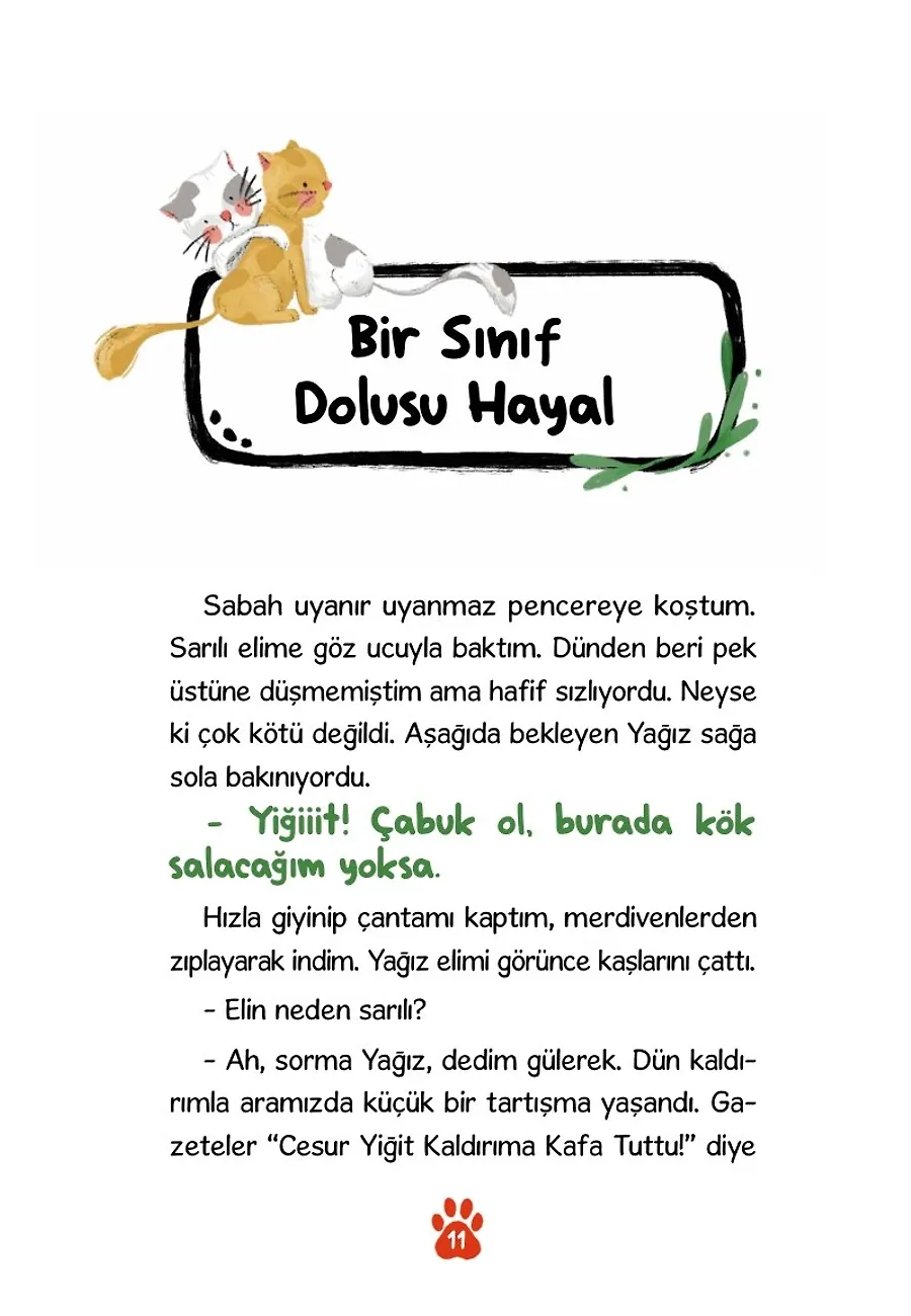 Operasyon Nohut Pilav - Savunma Hakkı – Sayfa 5