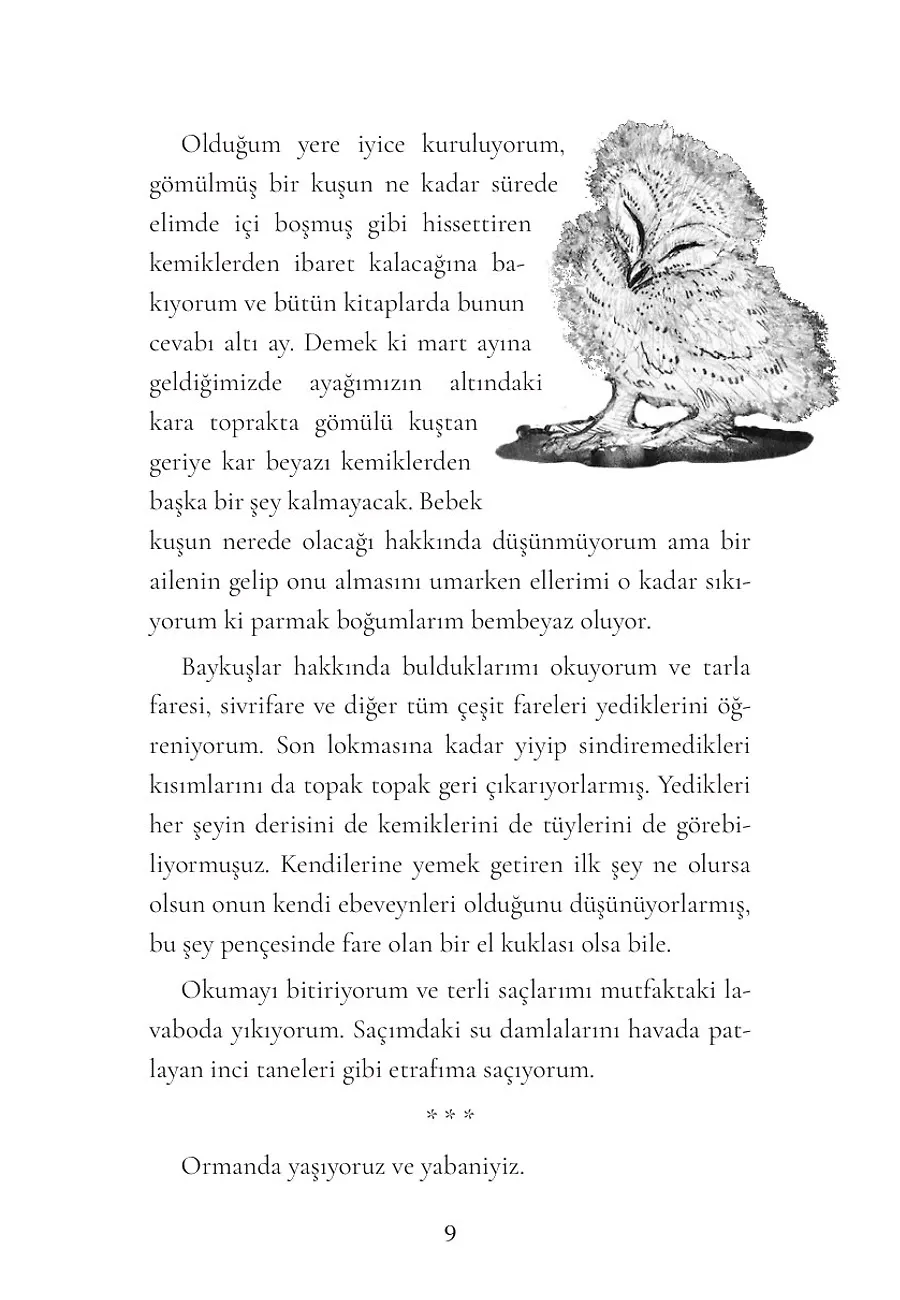 October, October (Ciltli) – Sayfa 5