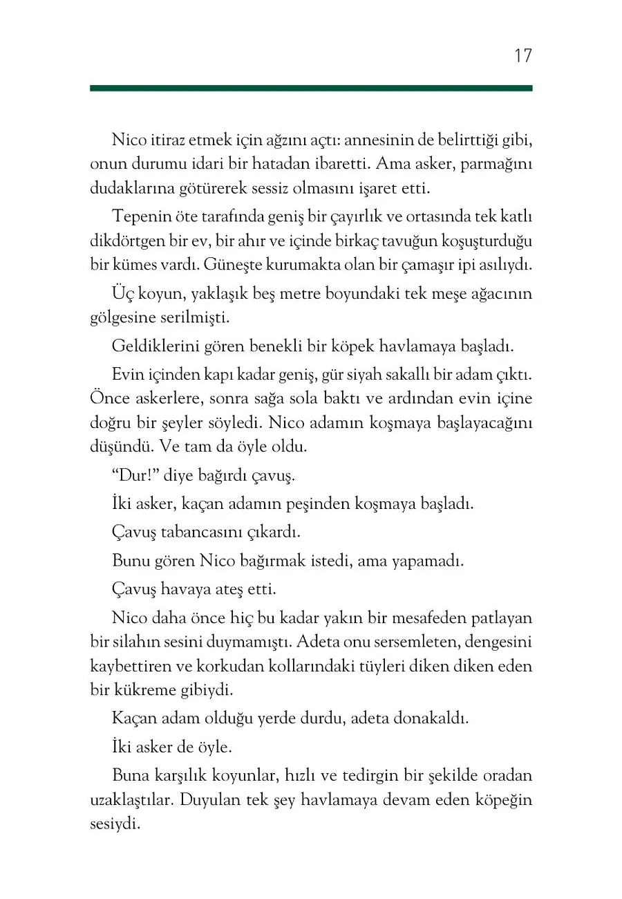Nico'nun Savaşı – Sayfa 2