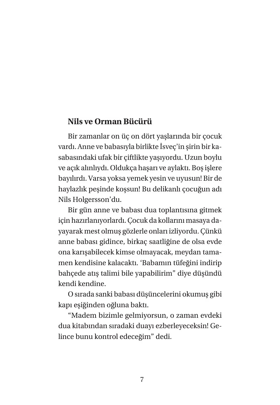 Nils Ve Olağanüstü Maceraları – Sayfa 5