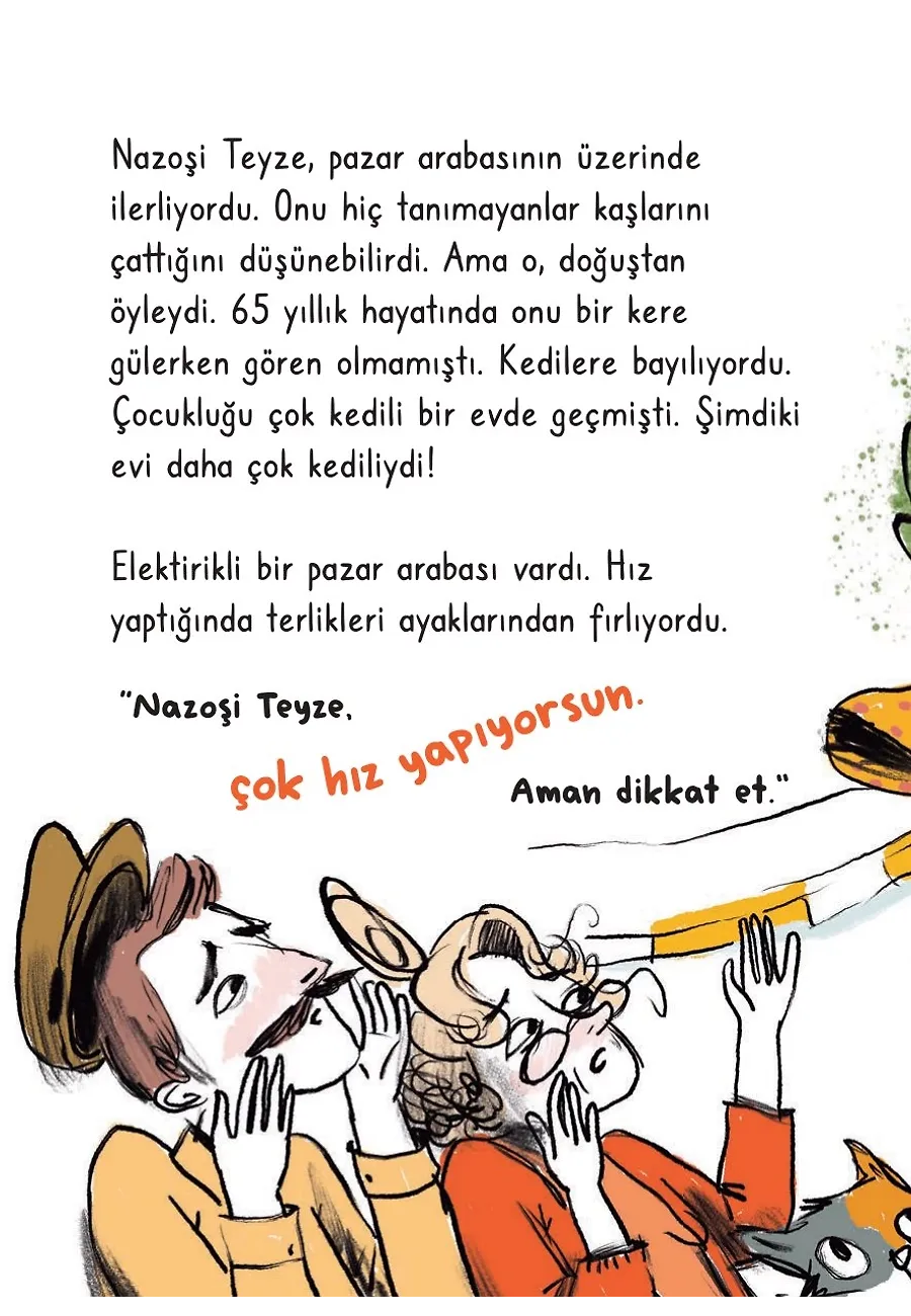 Nazoşi Teyze Bir Kedi Daha İstiyor – Sayfa 1