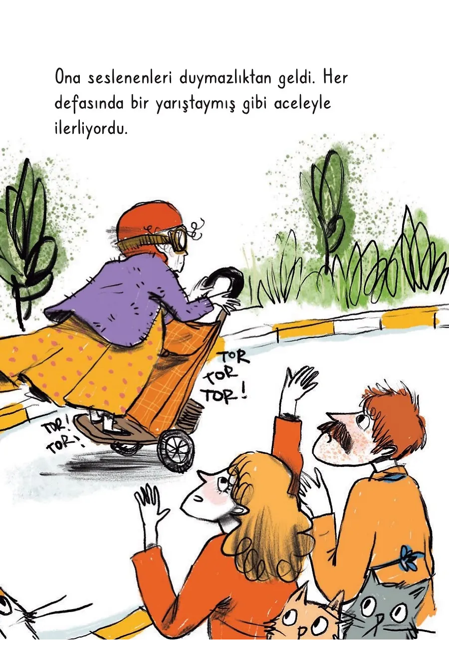 Nazoşi Teyze Bir Kedi Daha İstiyor – Sayfa 2