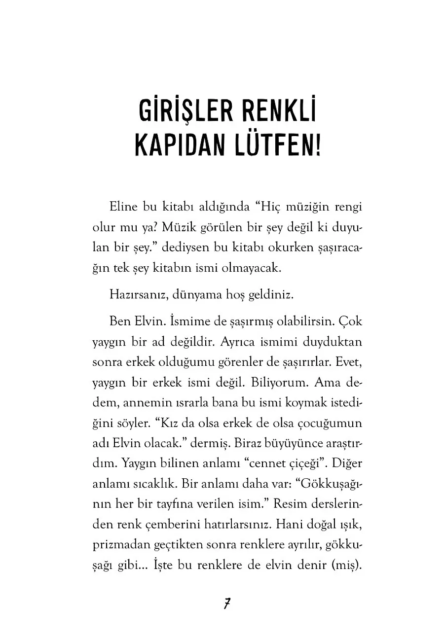 Müziğin Rengi – Sayfa 1