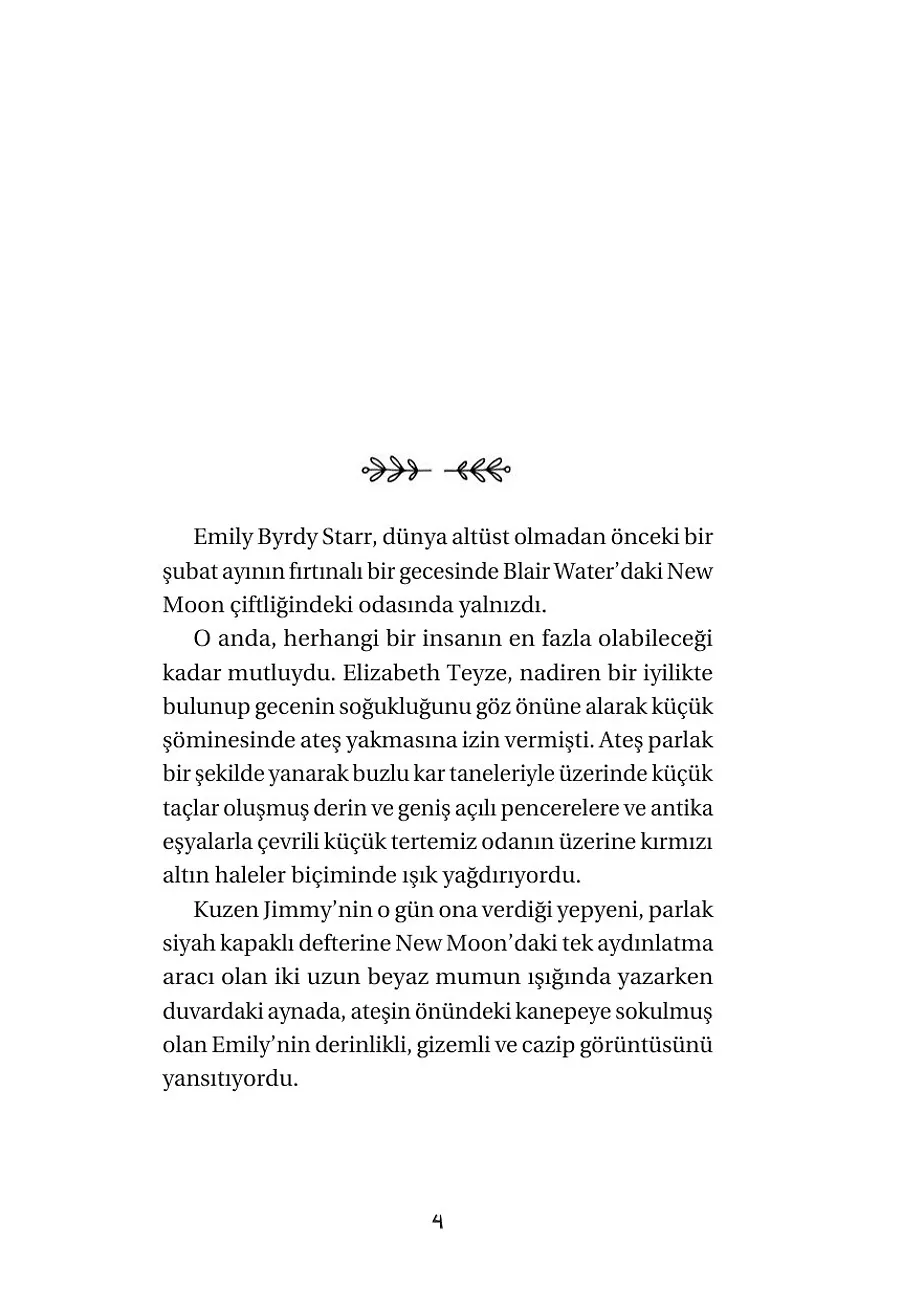 Mutluluk Ağacı - Mavinin Kızı Emily 4 – Sayfa 2