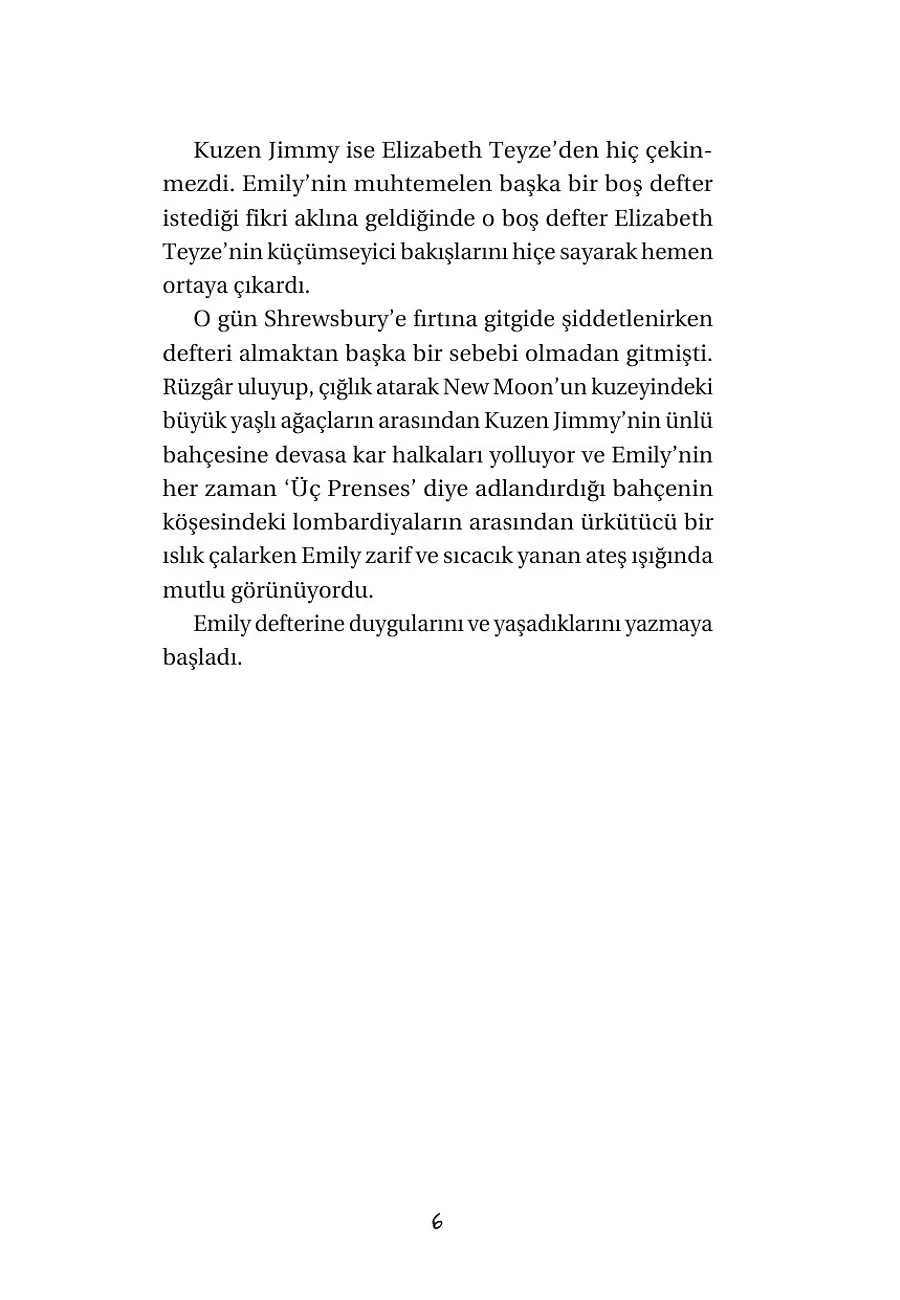 Mutluluk Ağacı - Mavinin Kızı Emily 4 – Sayfa 4