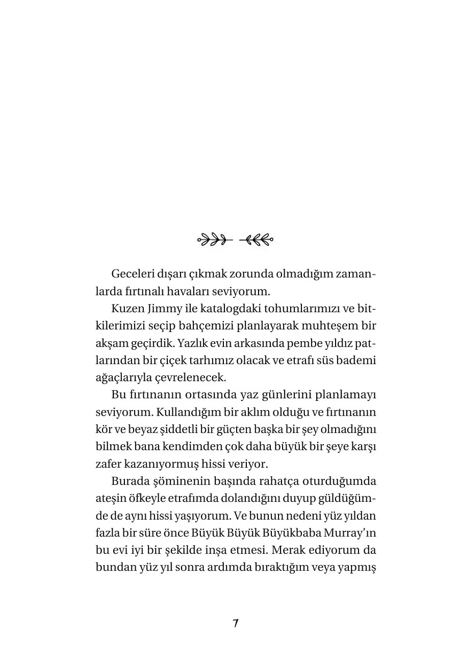 Mutluluk Ağacı - Mavinin Kızı Emily 4 – Sayfa 5