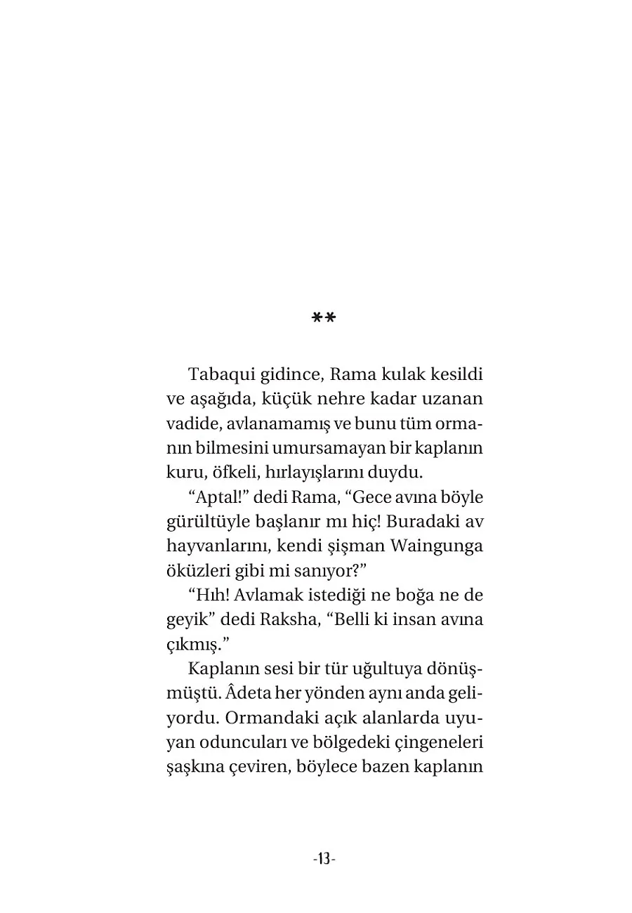 Mowgli - Bir Orman Efsanesi – Sayfa 5