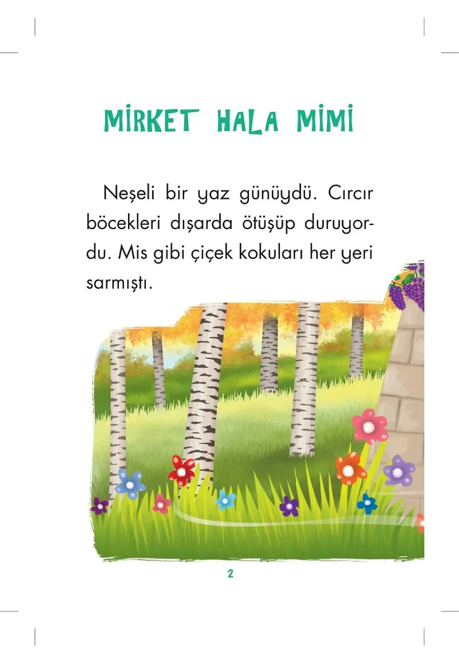 Mirket Hala Mimi - Mini Masallar 5 – Sayfa 1