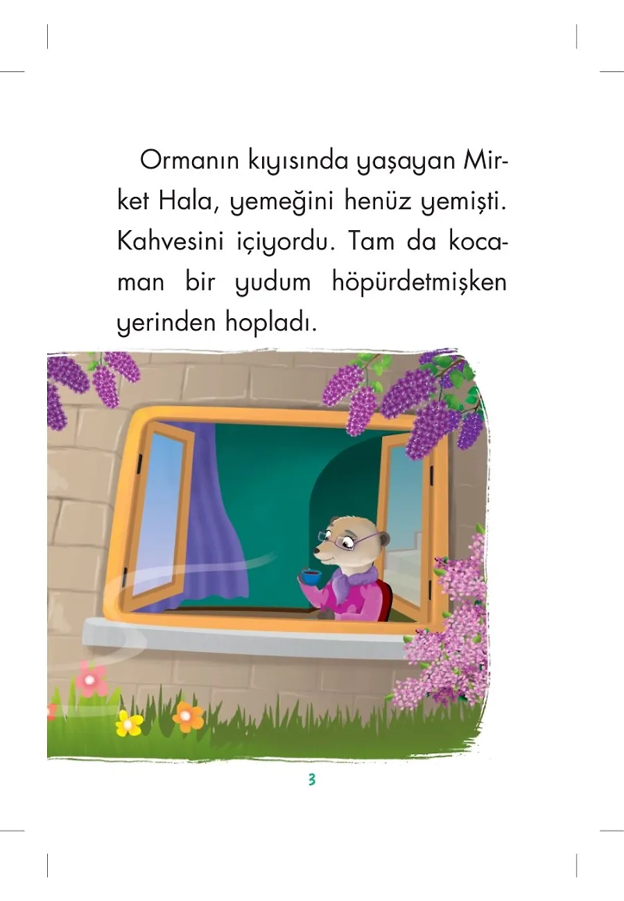 Mirket Hala Mimi - Mini Masallar 5 – Sayfa 2